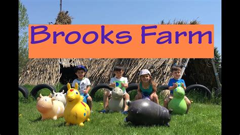 amber brooks farm|brooks farm strawberry picking.